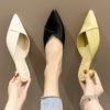 Elegant Pointed Toe Flat Mules with Low Heels