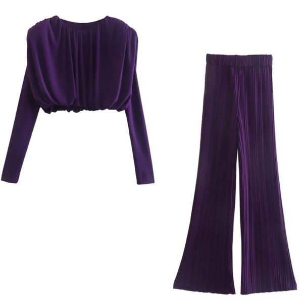 Purple Long Sleeves Crop Top and Pleated Pants Set_10